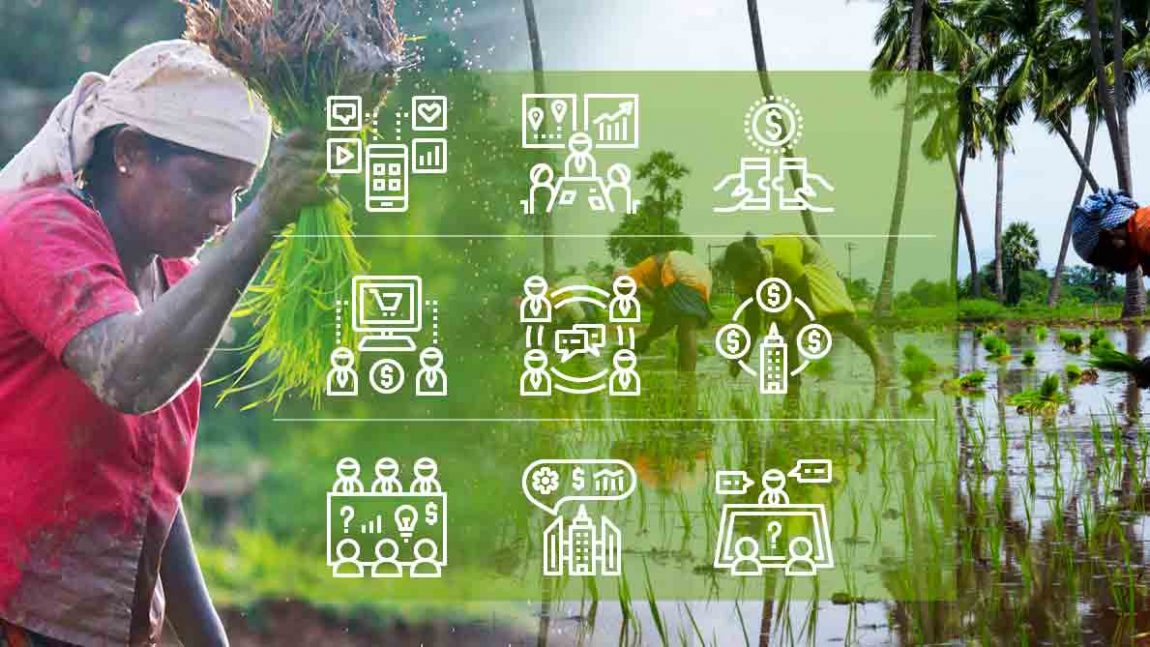 Agriculture Knowledge Bank