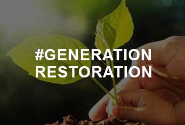 generation-resolution01