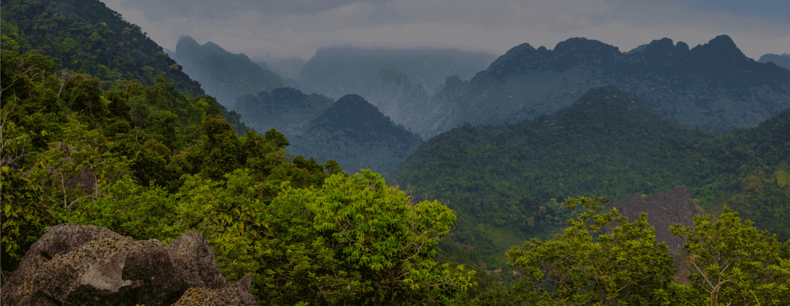 Slider-Image_1600-x-620.png