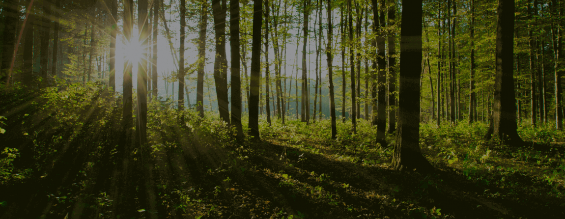Slider-Image_1600-x-620-2.png