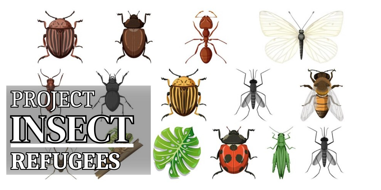 Insect Refuge Project- ARDEAF